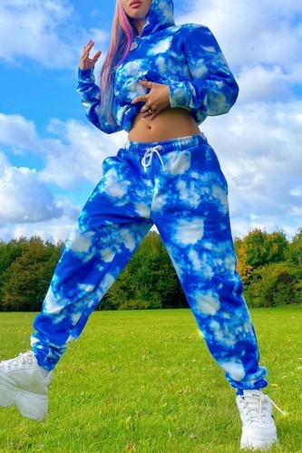 Blue Casual Print Basic Hooded Collar Long Sleeve Two Pieces