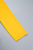Orange Elegant pläd geometrisk randigt lapptäcke med bälte tryck dragkedja O-hals A linje klänningar