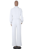 Bianco Casual Solido Patchwork Disegna Fibbia a cordoncino Colletto della camicia Manica lunga Due pezzi