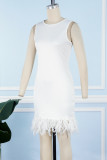 Wit Dagelijks feest Elegante eenvoud Lapwerk Veren Effen kleur O-hals Mouwloze jurk Jurken