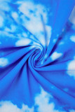 Синий Повседневный принт Классический Воротник с капюшоном Длинный рукав Из двух частей
