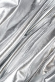Silver Casual Solid Vik Skinny Mid Waist Konventionella enfärgade byxor