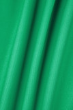 Verde Casual Stampa Patchwork Bottoni Cerniera Colletto con risvolto Manica lunga Due pezzi