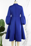 Blue Casual Solid With Bow Half A Turtleneck Long Sleeve Dresses