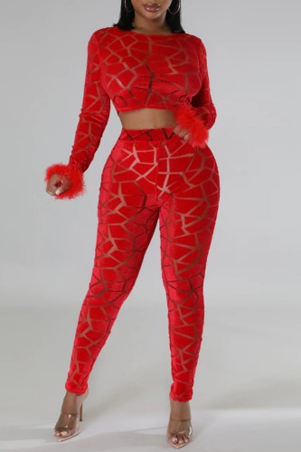 Red Sexy Casual Patchwork Feathers O Neck Long Sleeve Two Pieces