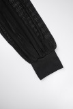Svarta Casual Solid Patchwork Genomskinliga halva turtleneck långärmade klänningar i plusstorlek
