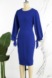 Kleurrijke blauwe casual effen frenulum O-hals jurken met lange mouwen