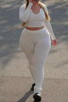 White Casual Solid Basic O Neck Plus Size Two Pieces
