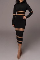 Black Casual Solid Patchwork See-through Half A Turtleneck Long Sleeve Dresses