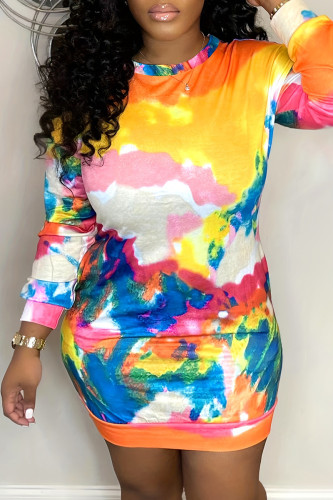 Colour Casual Print Basic O Neck Long Sleeve Dresses