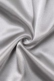 Silver Casual Solid Patchwork Turndown-krage Långärmade Klänningar