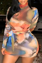 Colorido Casual Estampado Básico Gola Alta Manga Comprida Vestidos