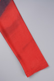 Rood Casual Print Basic O-hals Jurken met lange mouwen