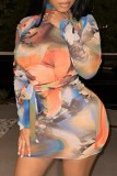 Colorido Casual Estampado Básico Gola Alta Manga Comprida Vestidos
