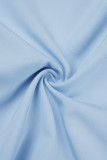 Hemelsblauw Casual effen Basic O-hals lange jurk Jurken