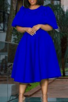 Koningsblauw Casual effen Basic O-hals A-lijn jurken