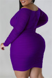 Púrpura Casual Sólido Básico Cuello en V Manga larga Tallas grandes Vestidos