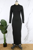 Black Casual Solid Basic Turtleneck Long Sleeve Dresses