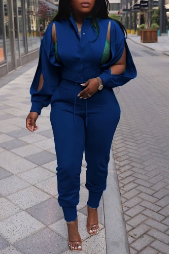 Blue Casual Solid Hollowed Out Two Pieces Long Sleeve Blouse Tops And Pants Sets