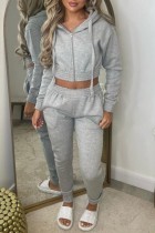 Grey Casual Solid Basic Hooded Collar Long Sleeve Two Pieces Cropped Jackets Sets And Pants Set