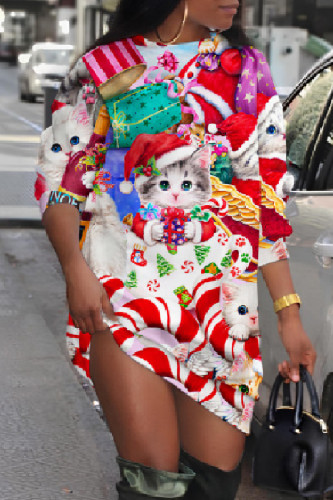 Multicolor Casual Print Basic O Neck Long Sleeve Dresses