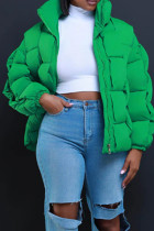 Ropa de abrigo casual sólido patchwork cremallera medio cuello alto verde