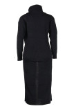 Black Casual Solid Slit Turtleneck Long Sleeve Dresses