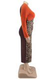 Café décontracté imprimé léopard patchwork avec ceinture col rond manches longues robes de grande taille