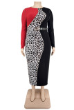 Patchwork léopard imprimé décontracté noir avec ceinture col rond manches longues robes de grande taille