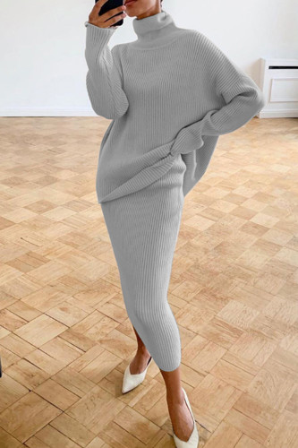 Silver Casual Solid Basic Turtleneck Long Sleeve Two Pieces
