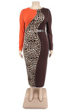 Café décontracté imprimé léopard patchwork avec ceinture col rond manches longues robes de grande taille