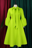 Patchwork sólido elegante verde fruta com laço O pescoço vestidos linha A