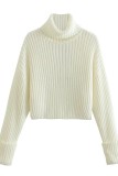 White Casual Solid Basic Turtleneck Tops