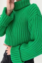 Green Casual Solid Basic Turtleneck Tops