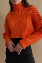 Naranja Casual Liso Básico Cuello Alto Tops
