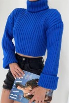 Blue Casual Solid Basic Turtleneck Tops