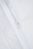 Silver Gray Celebrities Solid Patchwork Draw String Zipper Mandarin Collar Outerwear