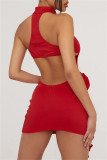 Rojo Sexy Sólido Ahuecado Cuello Alto Sin Mangas Vestido Vestidos