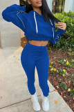 Blue Casual Solid Basic Hooded Collar Long Sleeve Two Pieces