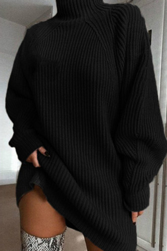 Black Casual Solid Basic Turtleneck Long Sleeve Dresses