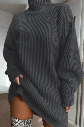 Dark Gray Casual Solid Basic Turtleneck Long Sleeve Dresses