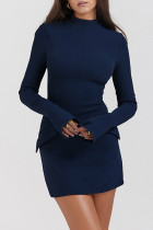 Blauwe casual effen basis-halve col-jurken met lange mouwen