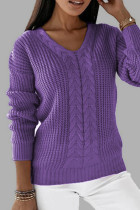 Purple Casual Solid Basic V Neck Tops