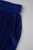 Blu royal casual tinta unita basic colletto con cerniera manica lunga due pezzi