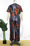 Multicolor Casual Print Basic O Neck Plus Size Two Pieces
