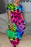Vestido manga curta multicolorido casual estampado básico com decote em O vestidos tamanho grande