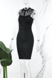 Black Sexy Solid Patchwork See-through Half A Turtleneck Sleeveless Dress Dresses