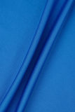 Azul Casual Sólido Básico Cuello Alto Manga Larga Vestidos