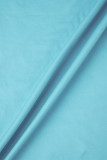 Blå Casual Print Basic O-hals långärmade klänningar