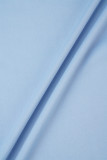 Azul cielo Casual Patchwork liso Cuello redondo Manga larga Tallas grandes Vestidos